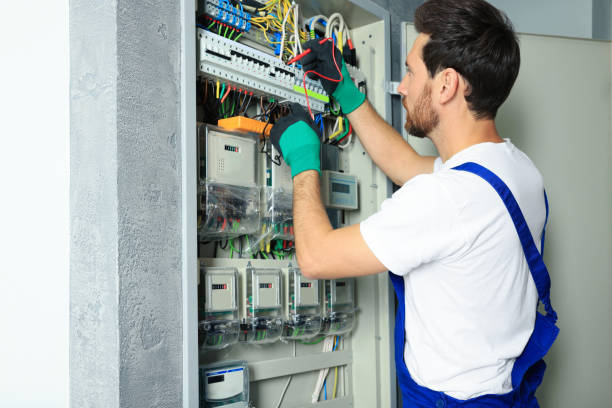 Best Electric Panel Repair  in Picnic Point, WA
